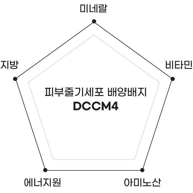 피부줄기세포 배양배지